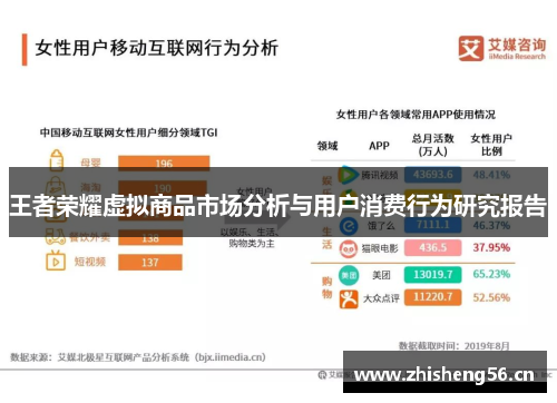 王者荣耀虚拟商品市场分析与用户消费行为研究报告