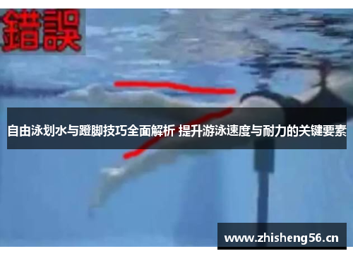 自由泳划水与蹬脚技巧全面解析 提升游泳速度与耐力的关键要素