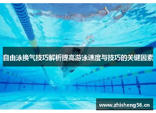 自由泳换气技巧解析提高游泳速度与技巧的关键因素