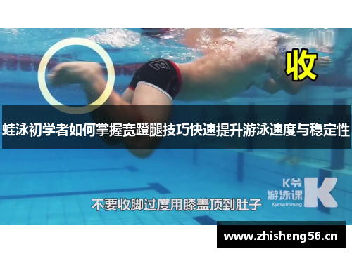 蛙泳初学者如何掌握宽蹬腿技巧快速提升游泳速度与稳定性